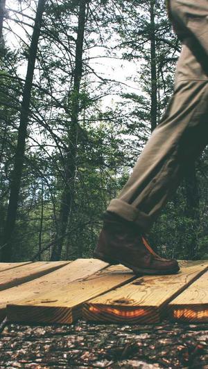 带你吃大瓜截图3